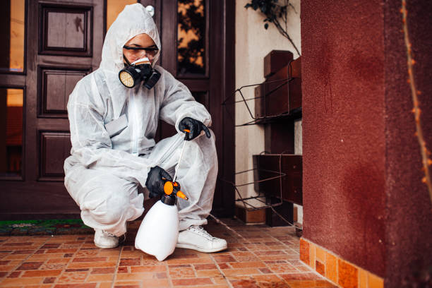 Reliable Cockroach Control contractor in Moses Lake North, WA by Nex Pest Control