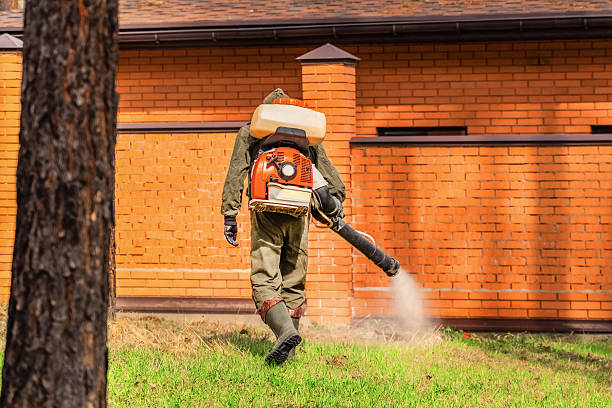 Trusted Termite Control service in Moses Lake North, WA - Nex Pest Control